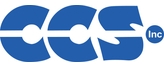 Custom Computer Services