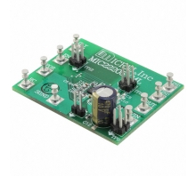 MIC22205YML-EV