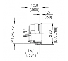 C091 31N105 100 2