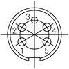 C091 31C005 200 2 Image