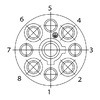 C016 10N008 006 1 Image